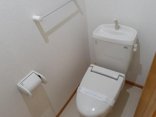 プラシードのトイレ
