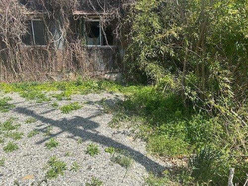 薗　売り土地のその他|現地（2025年4月）撮影