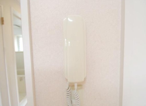ロッシェル相模大野Ⅱのセキュリティ