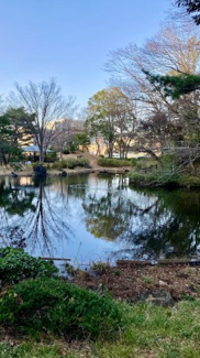 【周辺】 | ヴェレーナ多摩センター | 東中野公園まで徒歩５分
