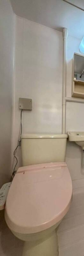 ドミー池袋のトイレ