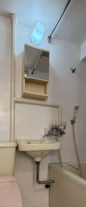 ドミー池袋の洗面所