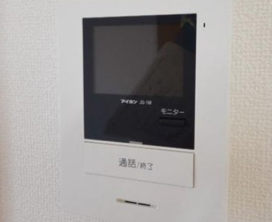 テサールムのセキュリティ