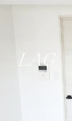 【セキュリティ】 | レガリス品川南大井パークサイド | モニター付きインターホンです。
