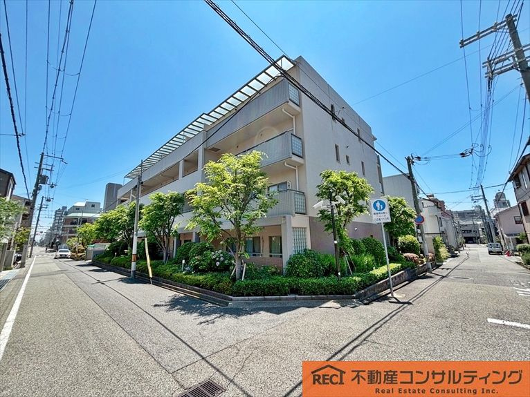 メゾン岡本南の周辺