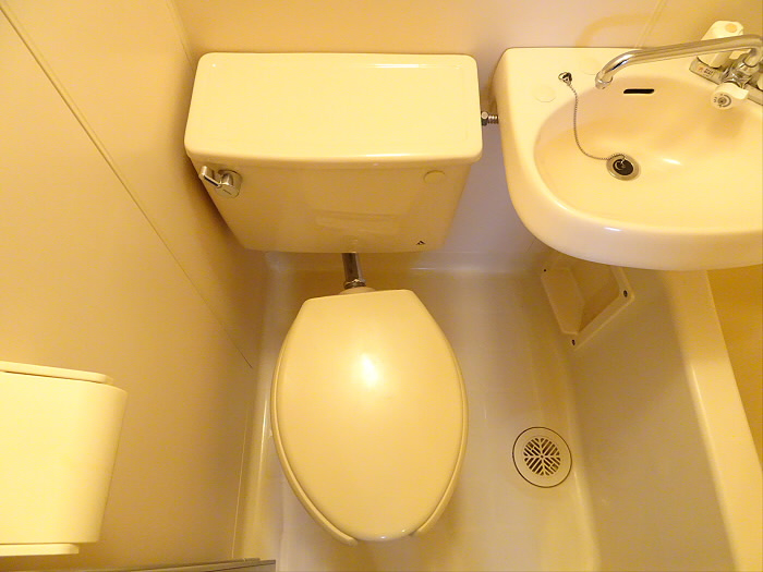エリジアム・ド・カフのトイレ|落ち着いた色調のトイレです