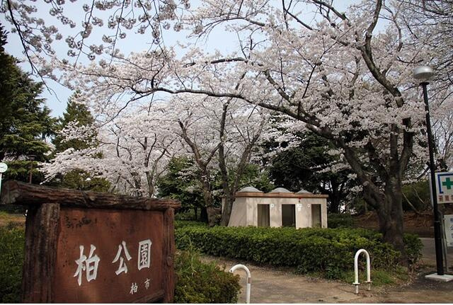 柏公園まで600m