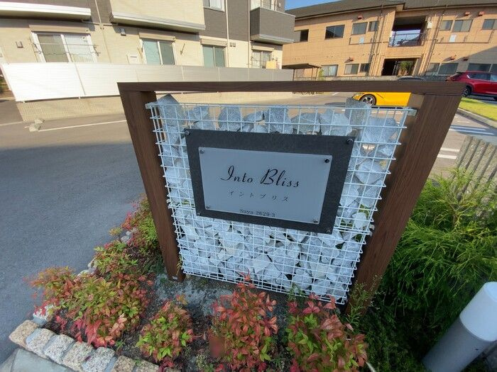 Full　Bliss　/Into　Bliss　Into　Bliss（イントブリス）