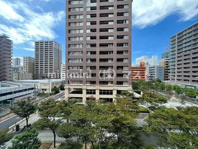 ロイヤルパークス桃坂の展望