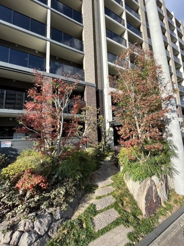 福岡市南区塩原４丁目の賃貸マンションのその他|ロビー