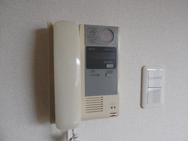 ウィングライフィアのセキュリティ