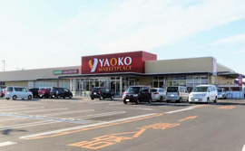 ヤオコー柏南増尾店まで650m