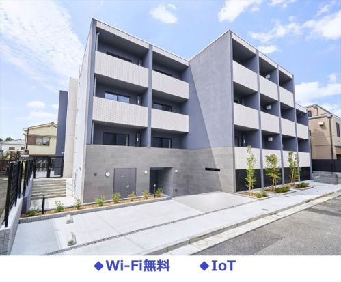 DIPS成増