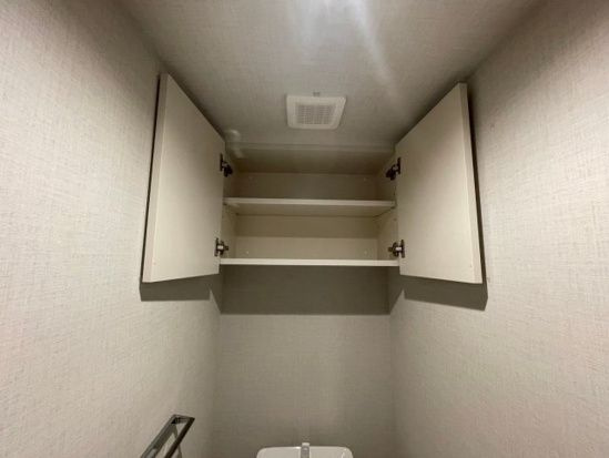 DIPS成増