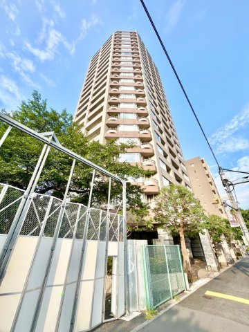 西早稲田シティタワーの外観|2026.07.30撮影

現地ご見学希望・資料請求などお気軽にお問い合わせ下さい！
03-5990-5201