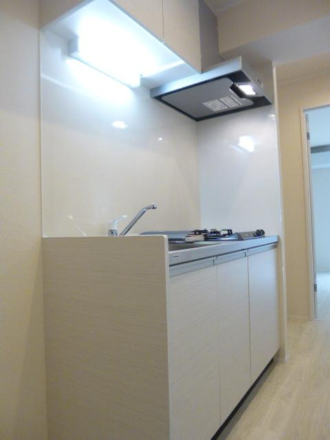 川崎市多摩区堰１丁目の賃貸マンションのキッチン
