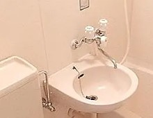 スターゲイツ磯子の洗面所