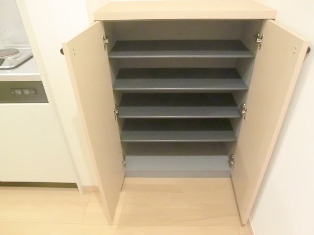 アネックス新小岩Ⅱの収納|たっぷり収納できるシューズボックスです♪