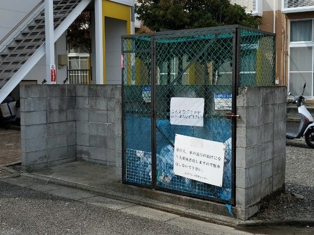 レオネクスト大のその他