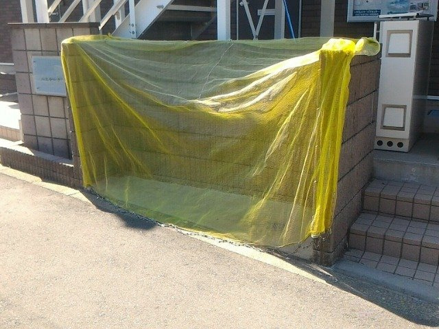 レオネクストパステークのその他