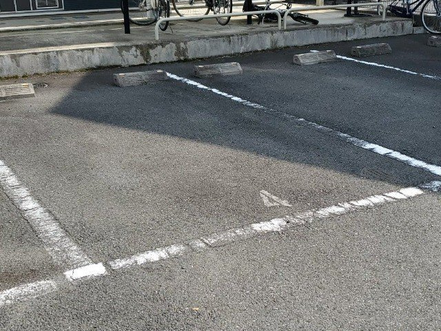 レオネクスト花水木のその他