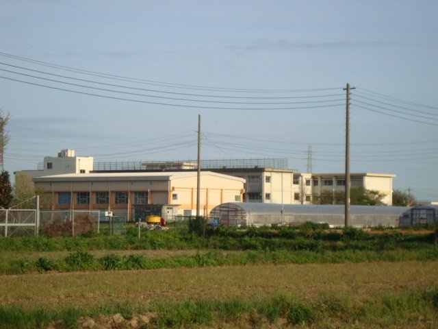 サニーサイド２３８の周辺|平塚市立金田小学校まで882ｍ