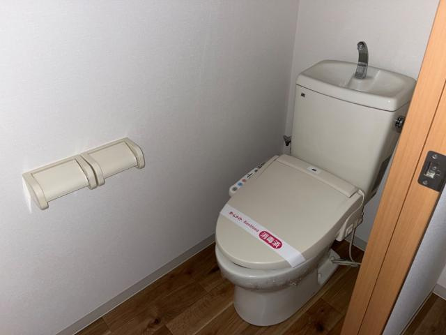 シュトラントハイムのトイレ|トイレ