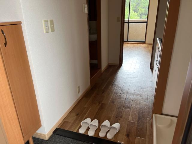 シュトラントハイムの玄関|玄関