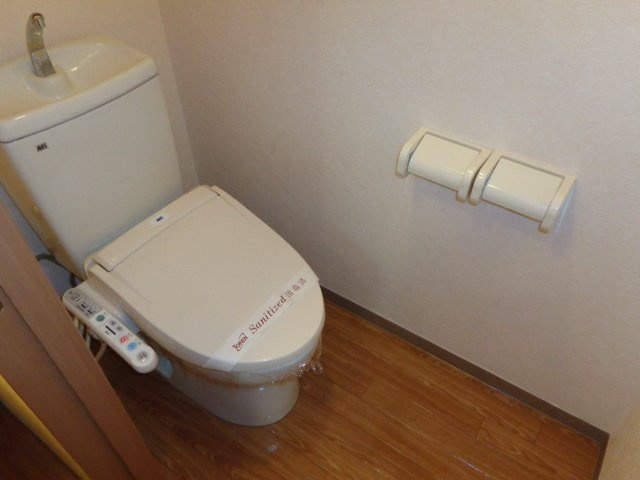シュトラントハイムのトイレ|シャワー付トイレ