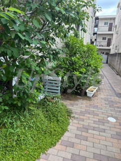 【エントランス】 | セレナマチヤⅡ