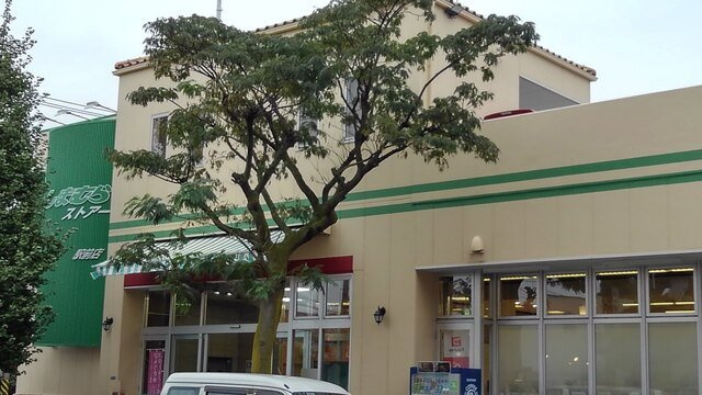 スアヴィス平塚八重咲の周辺|しまむらストアーまで290m