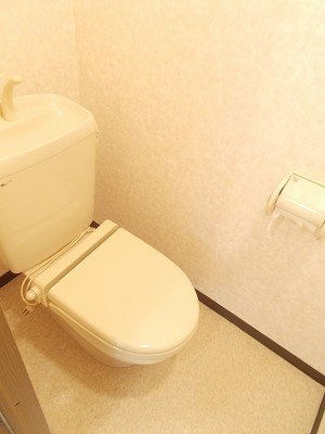ニューハイツ柿沢のトイレ|落ち着いたトイレです