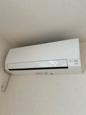 ヴァーミリオン　コスゲのその他