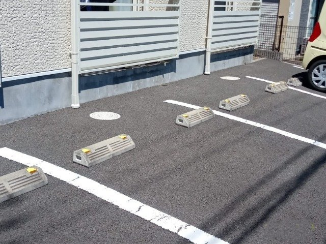 レオネクストペレグリンのその他