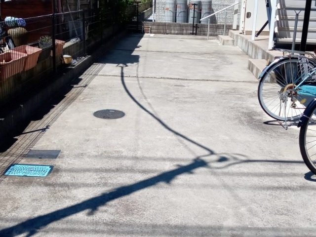 レオネクストペレグリンのその他