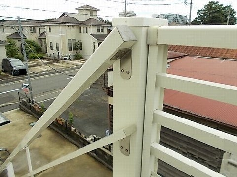レオネクストペレグリンのその他