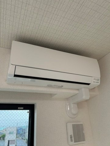 グレース　ローズのその他