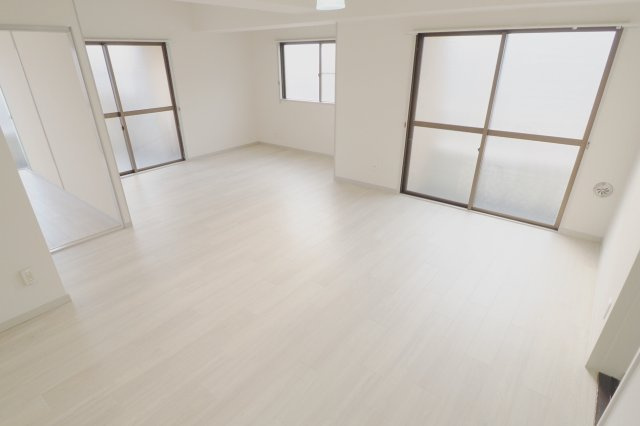 メゾン猫本の展望