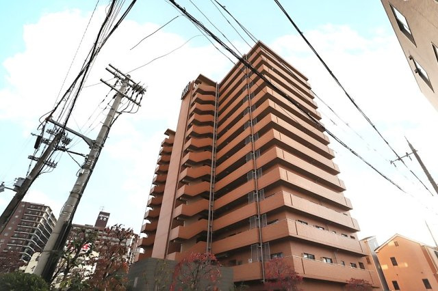 富士林プラザ大日参番館の外観