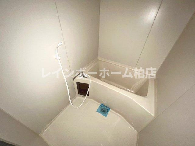 特典：仲介手数料が無料です!!の浴室