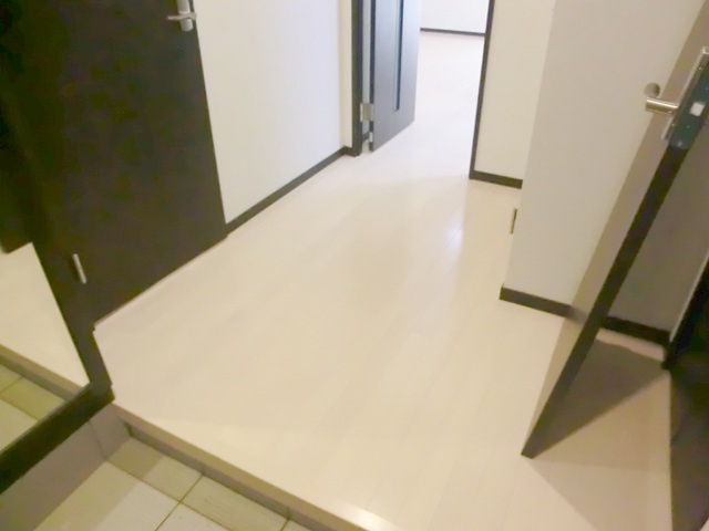 アドシール若柳Ⅰのその他|玄関ホール部分です。