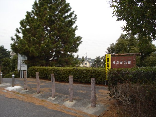 ファイン梅森の周辺|梅森台公園まで600ｍ
