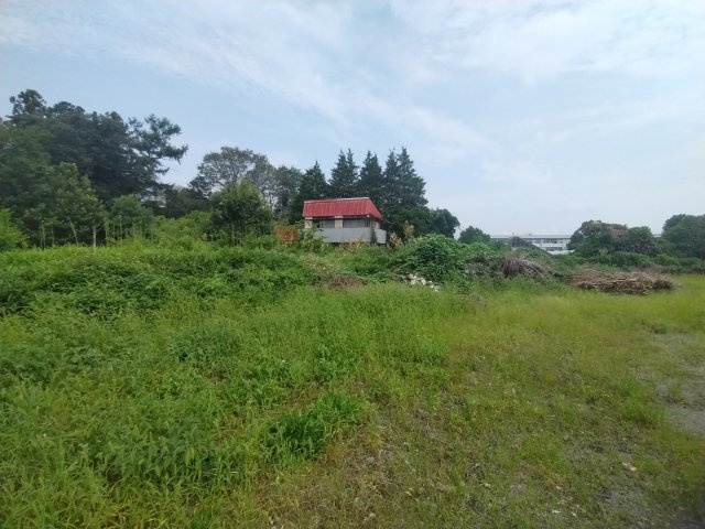 鹿沼市南上野町・売地の外観