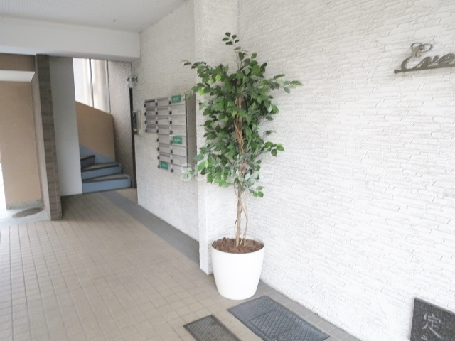 エヴァーグレースのその他|緑が綺麗です☆ミ