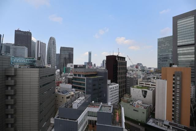 ファミール新宿グランスイートタワーの展望