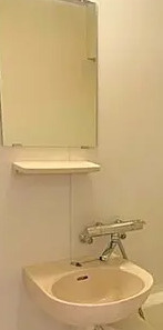 セタガヤフラット の洗面所