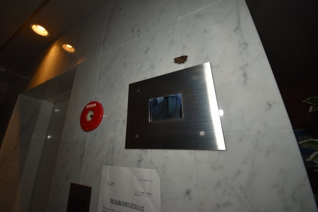エスライズ北堀江