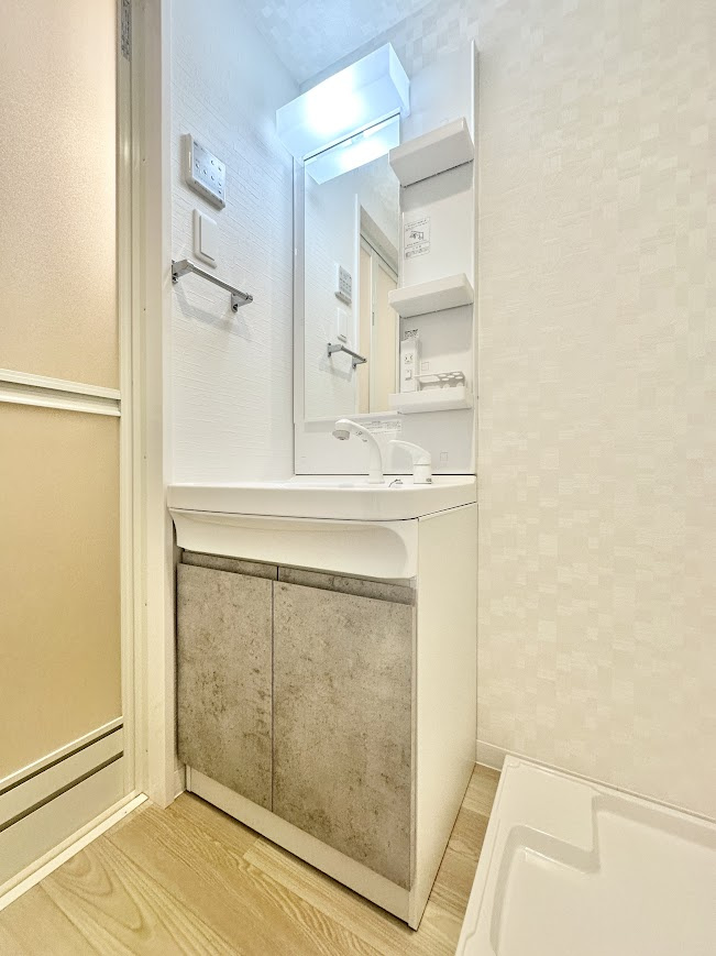 S-RESIDENCE堀田beauteの洗面所
