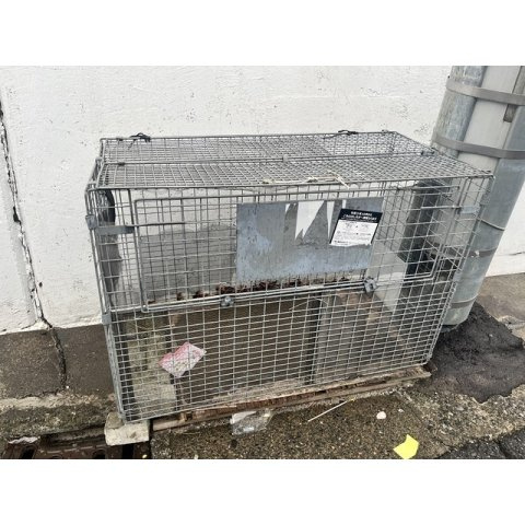 A・Iハイツのその他