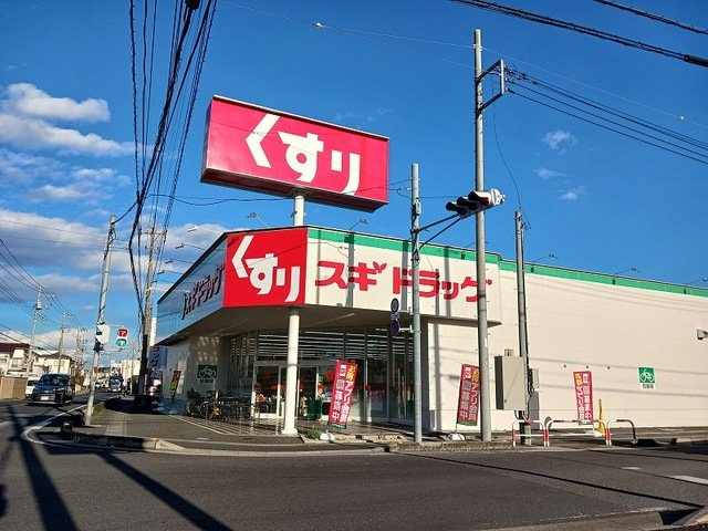 グランツファインの周辺|スギドラッグ 松伏店まで200m